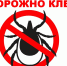 Инфекции, передающиеся при укусах клещей - Город Первомайск